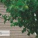 Сайдинг Ю-Пласт TIMBERBLOCK Пихта (Тимберблок) Cахалинская купить в Звенигороде