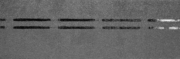 Коньково-карнизная черепица Docke Premium, черника купить в Звенигороде