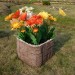 Цветник КАНЬОН купить в Звенигороде